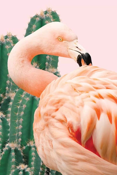 Succulents: Flamingo And Cactus by 83 Oranges