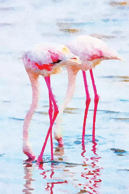 Flamingo Pink