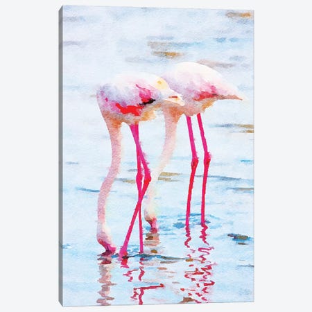 Flamingo Pink Canvas Print #UMA316} by 83 Oranges Canvas Art