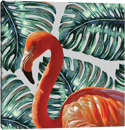 Flamingo Canvas Art Print - Monstera Art
