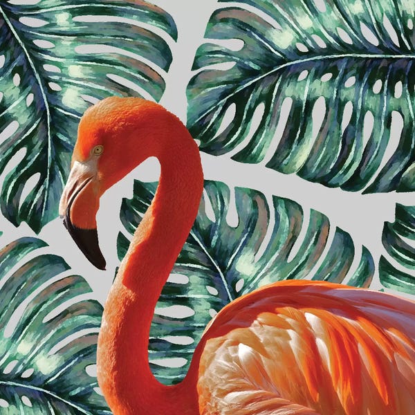 Monsteras: Flamingo by 83 Oranges