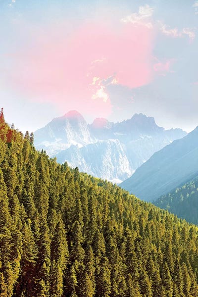 Evergreen by 83 Oranges framed canvas print