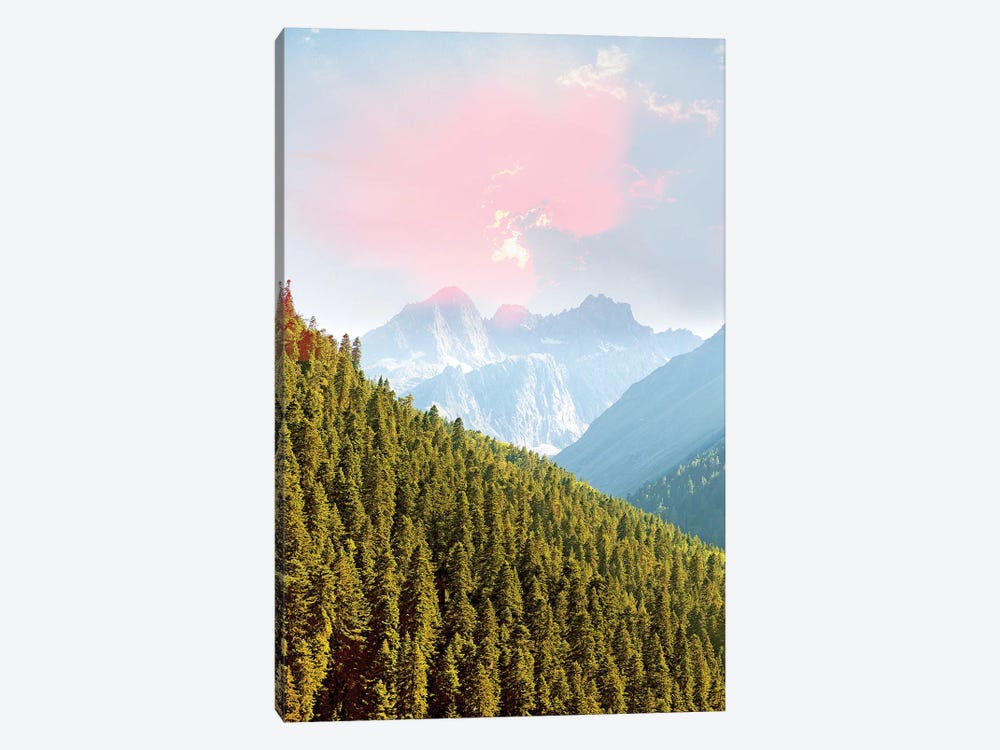 Evergreen by 83 Oranges 1-piece Canvas Wall Art