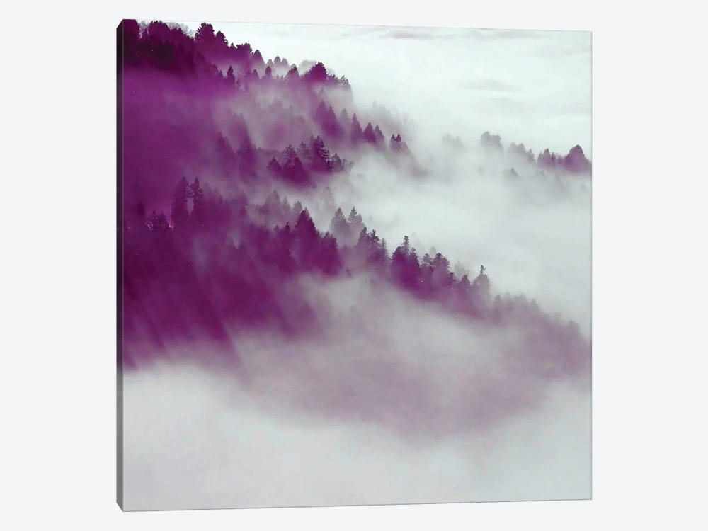 Forest Fog by 83 Oranges 1-piece Canvas Print