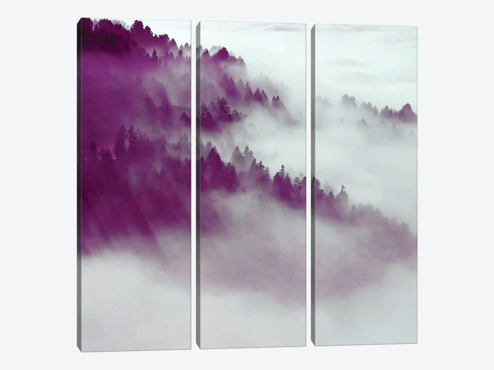 Forest Fog by 83 Oranges 3-piece Canvas Art Print