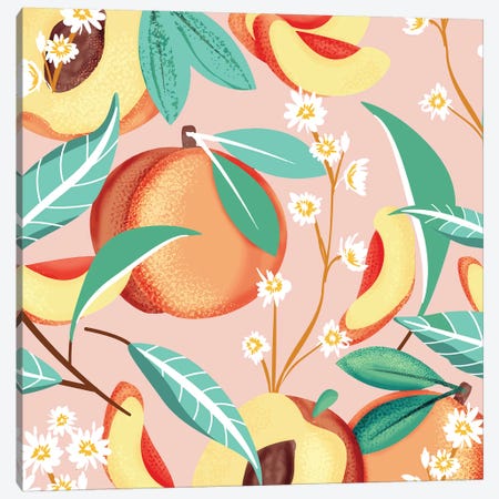 Peach Season Canvas Print #UMA343} by 83 Oranges Canvas Wall Art
