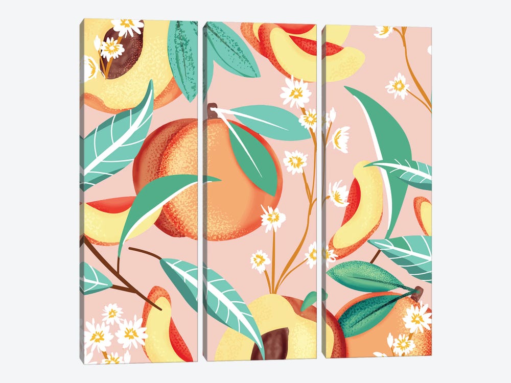 Peach Season by 83 Oranges 3-piece Canvas Art Print