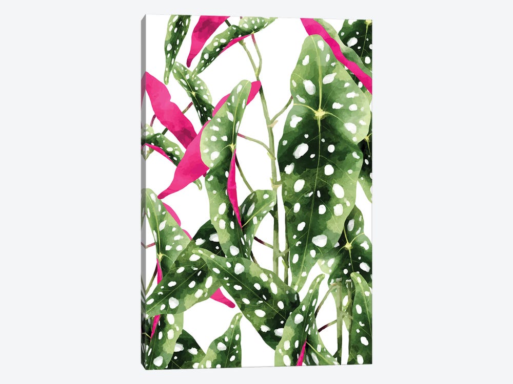 Happiness Is...Buying Plants by 83 Oranges 1-piece Canvas Artwork