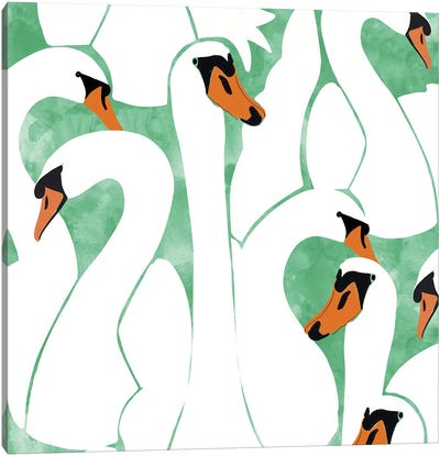 White Calm Was Born Into A Swan Canvas Art Print - Animal Patterns