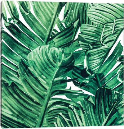 Tropical State Of Mind Canvas Art Print - Floral & Botanical Patterns