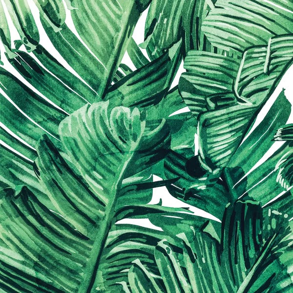 Floral & Botanical Patterns: Tropical State Of Mind by 83 Oranges