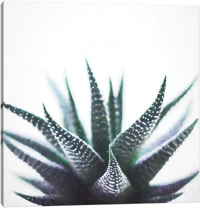 Green Topaz Plant Canvas Art Print - Earthen Greenery
