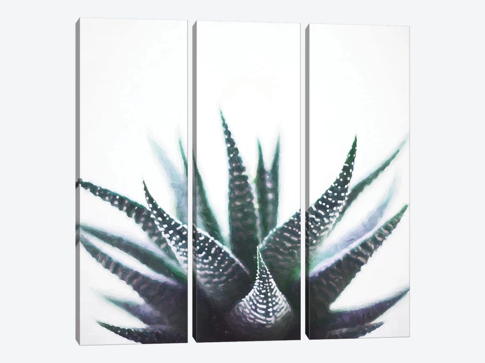 Green Topaz Plant 3-piece Canvas Print