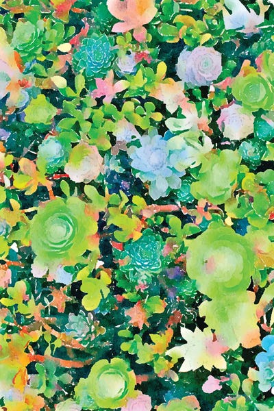 Cacti: The Desert Works Constantly To Forbid It, But The Cactus Blooms Anyway by 83 Oranges