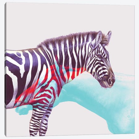 Horse And Zebra Canvas Print #UMA41} by 83 Oranges Art Print