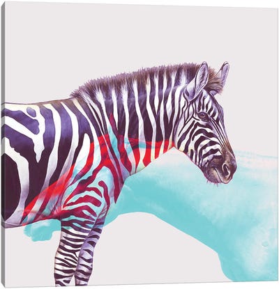 Horse And Zebra Canvas Art Print - Zebra Art