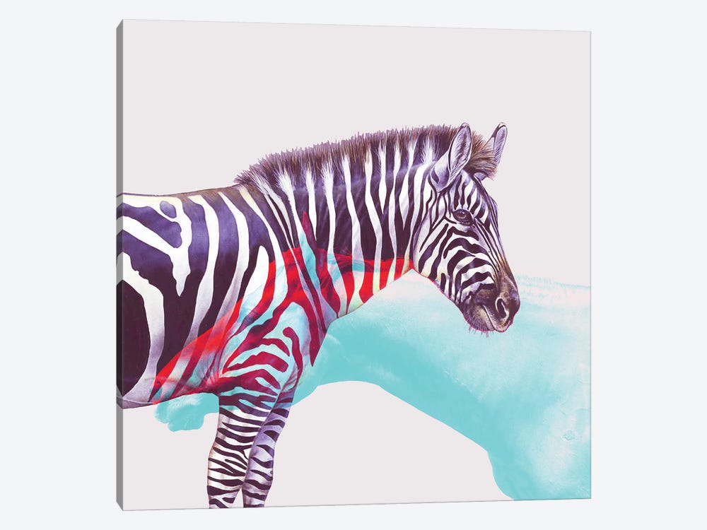 Horse And Zebra by 83 Oranges 1-piece Canvas Wall Art