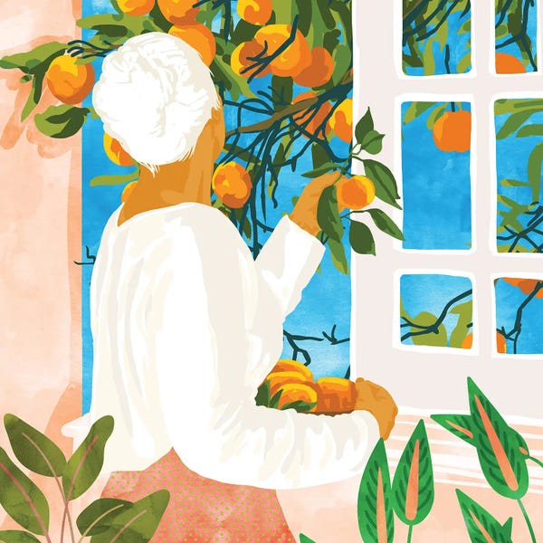 Oranges: A Few Bad Oranges Is No Reason Not To Bring The Grove Home by 83 Oranges