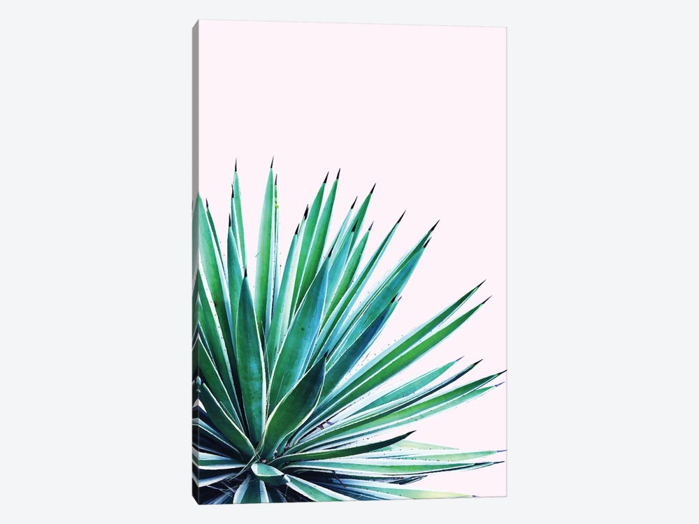 Agave Love by 83 Oranges 1-piece Art Print