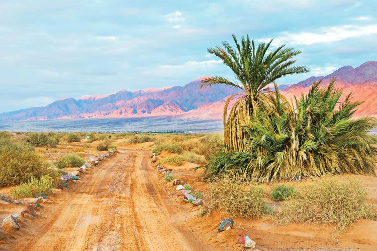 Joshua Tree I by 83 Oranges wall art