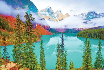 Vivid Dream by 83 Oranges framed canvas print