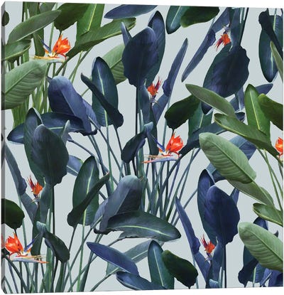 Optical Zen Canvas Art Print - Floral & Botanical Patterns
