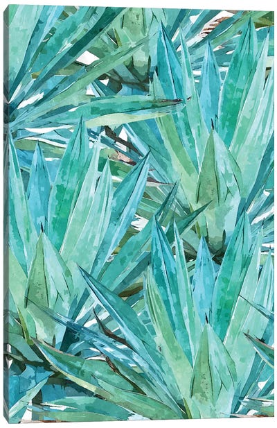 Agave Canvas Art Print - Earthen Greenery