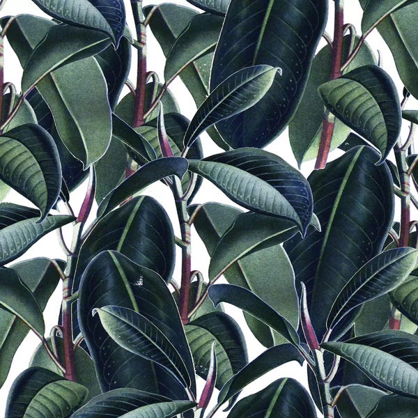 Floral & Botanical Patterns: Rubber And Glue by 83 Oranges