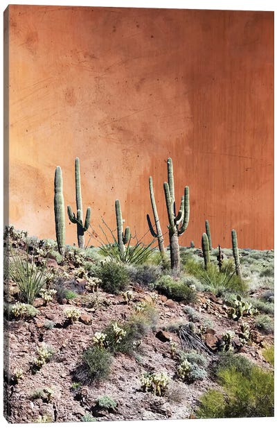 Rustic Canvas Art Print - Cactus Art