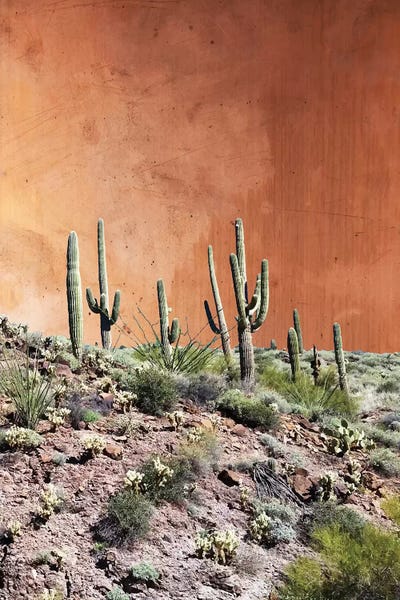 Desert: Rustic by 83 Oranges