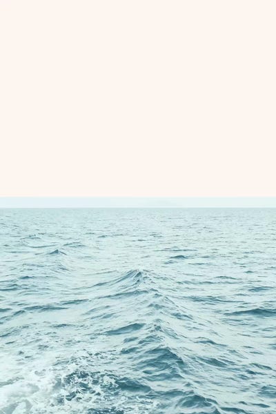 Nature Close-Ups: Sea Breeze by 83 Oranges