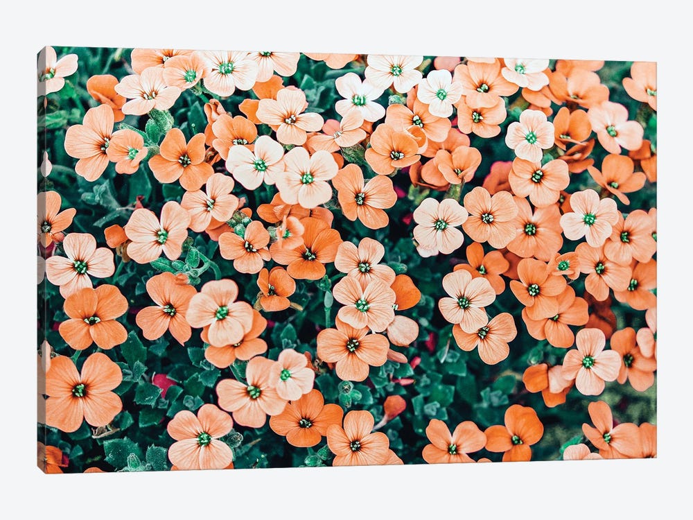 Floral Bliss by 83 Oranges 1-piece Canvas Print