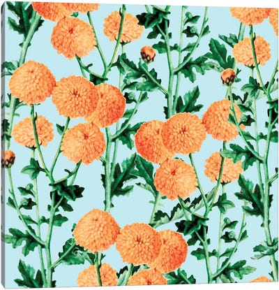Summer Bloom Canvas Art Print - Chrysanthemum Art