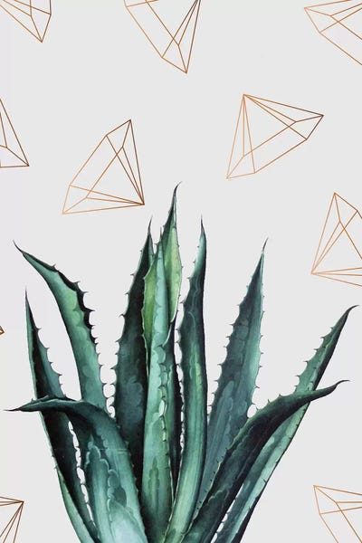 Succulents: Agave Pattern by 83 Oranges