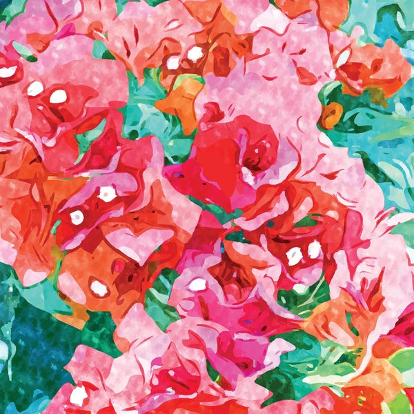 Bougainvillea: Be Like Bougainvillea, Blooming, Lush, Wild & Unassuming by 83 Oranges