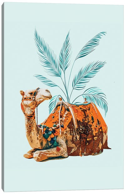 Camel Ride Canvas Art Print - Camel Art