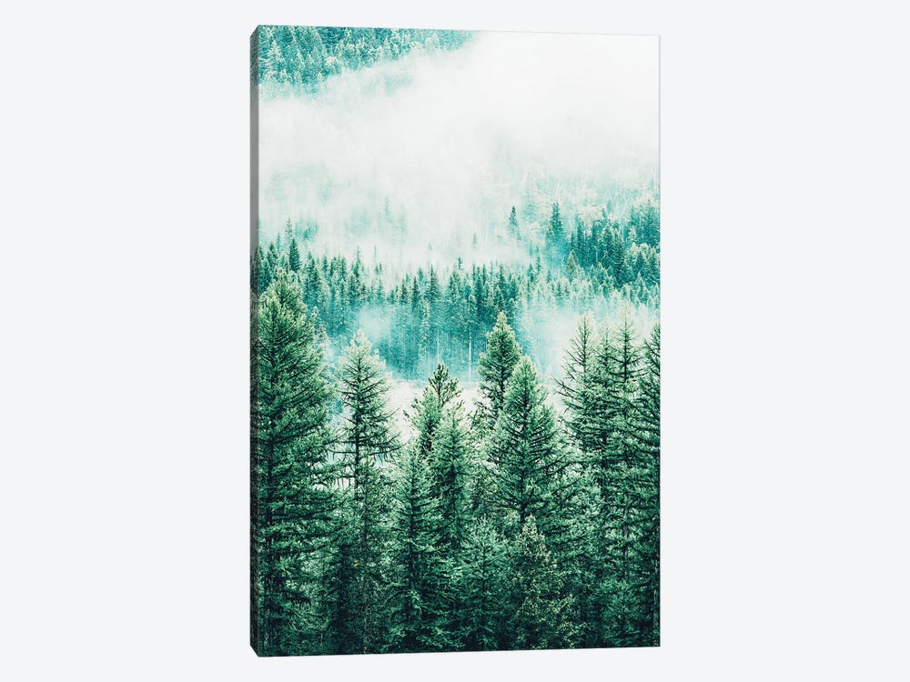 Forest And Fog by 83 Oranges 1-piece Canvas Print