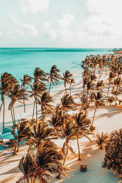 Tropical Beaches: Beach Life by 83 Oranges