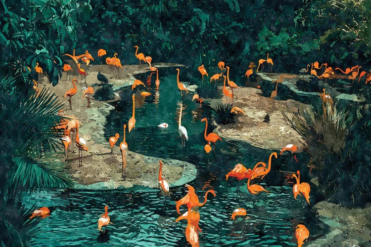 Flamingo Creek