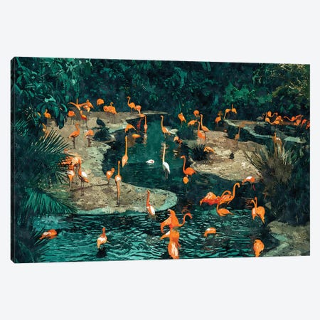 Flamingo Creek Canvas Print #UMA777} by 83 Oranges Canvas Artwork