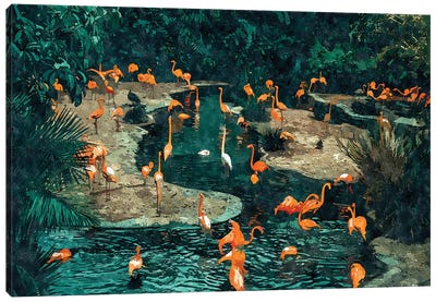 Flamingo Creek Canvas Art Print - Green with Envy