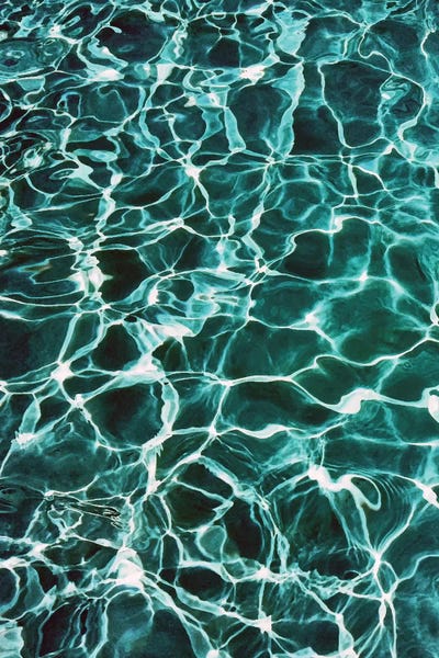 Nature Close-Ups: Waiting For Summer by 83 Oranges