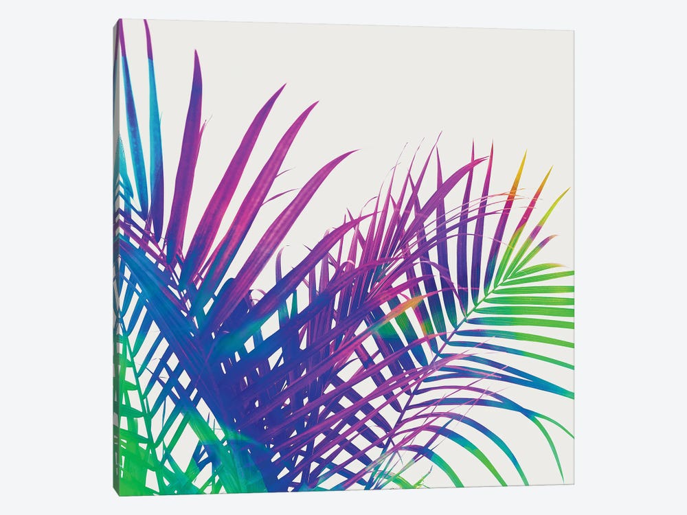 Colorful Palm by 83 Oranges 1-piece Art Print