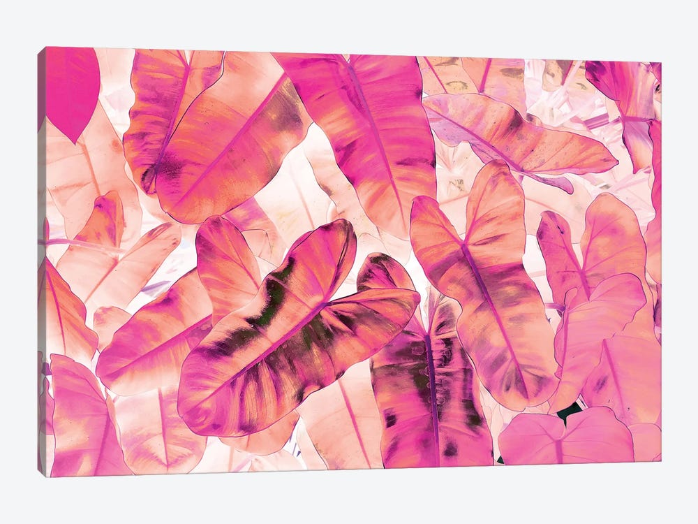 Pink Nirvana by 83 Oranges 1-piece Canvas Artwork