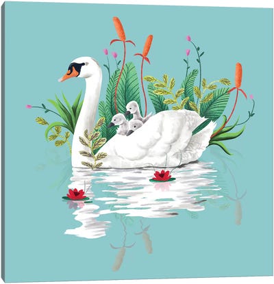 Bond Canvas Art Print - Swan Art