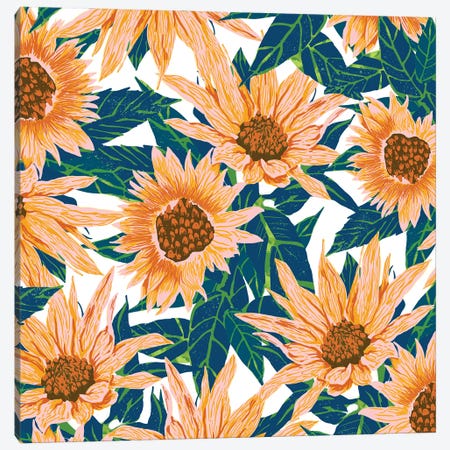 Blush Sunflowers Canvas Print #UMA857} by 83 Oranges Canvas Print