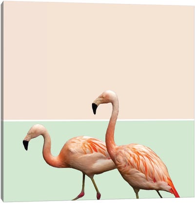 Flamingo Pastel Art Canvas Art Print - Pantone Living Coral 2019