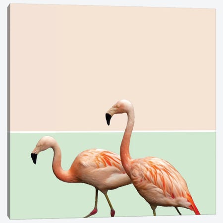 Flamingo Pastel Art Canvas Print #UMA85} by 83 Oranges Canvas Wall Art