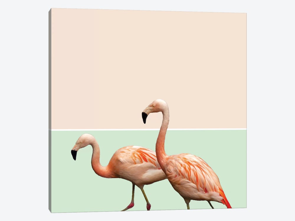 Flamingo Pastel Art by 83 Oranges 1-piece Canvas Artwork