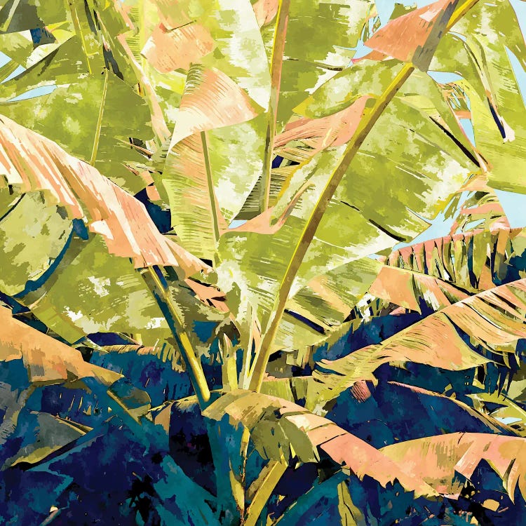 Blush Banana Tree by 83 Oranges wall art